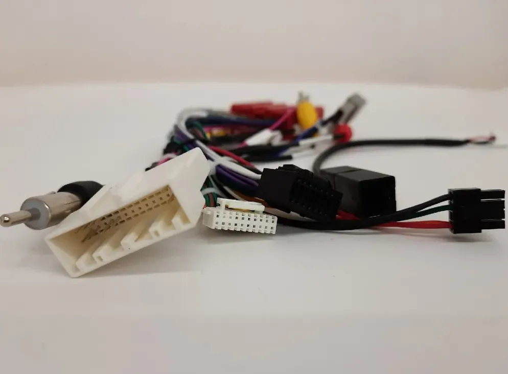 изображение_2023-10-22_204800156