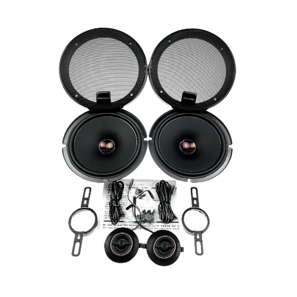 Pioneer-TS_D65C-5[1]