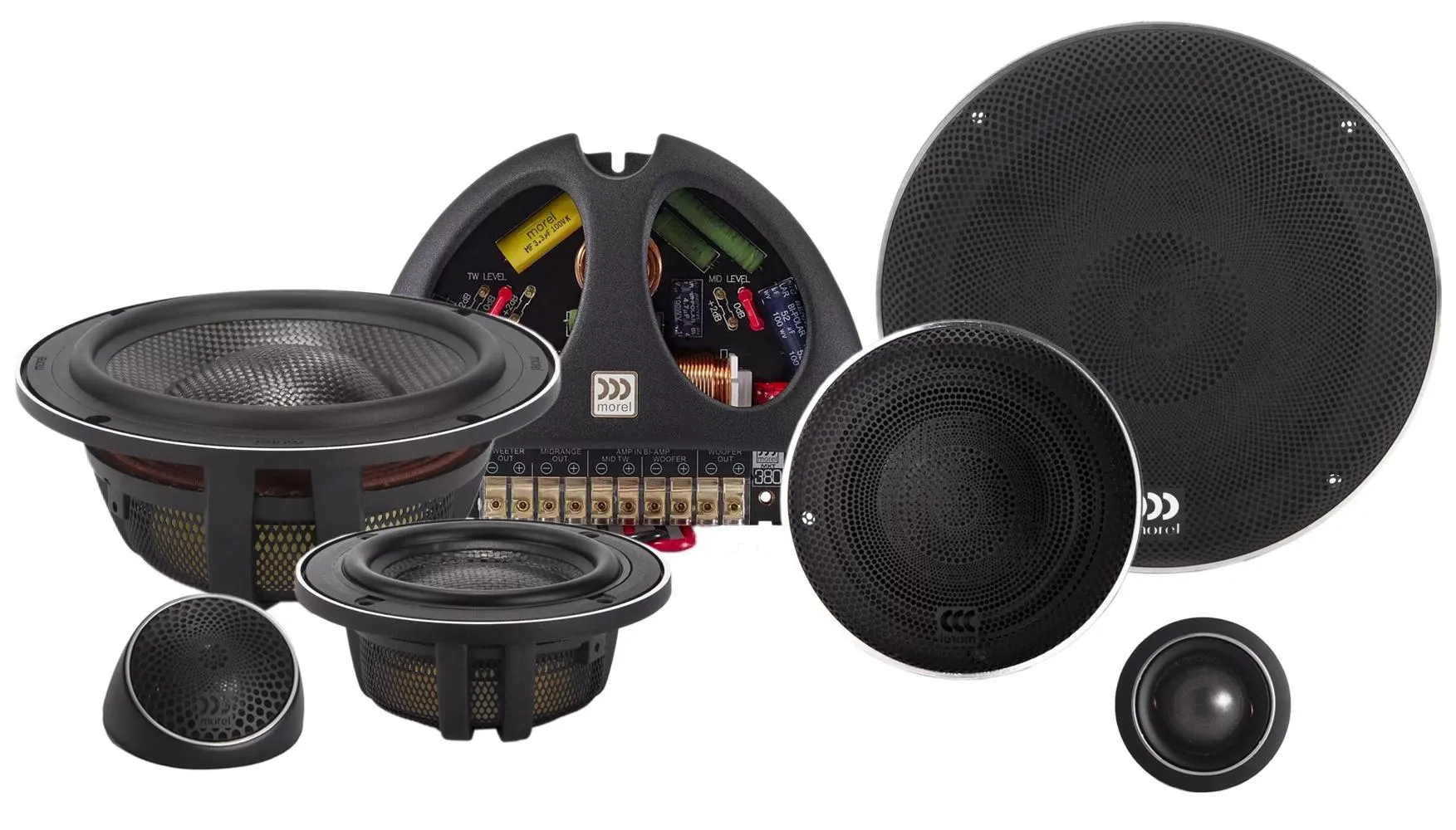 Morel Elate Carbon 63