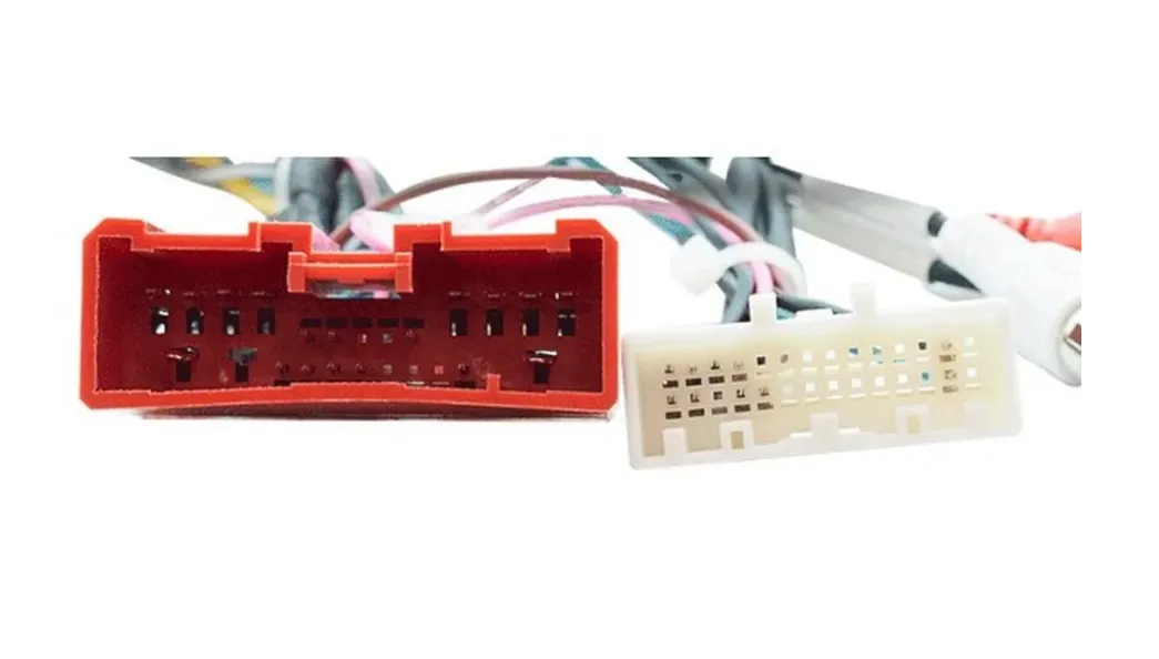 изображение_2023-10-20_191510014