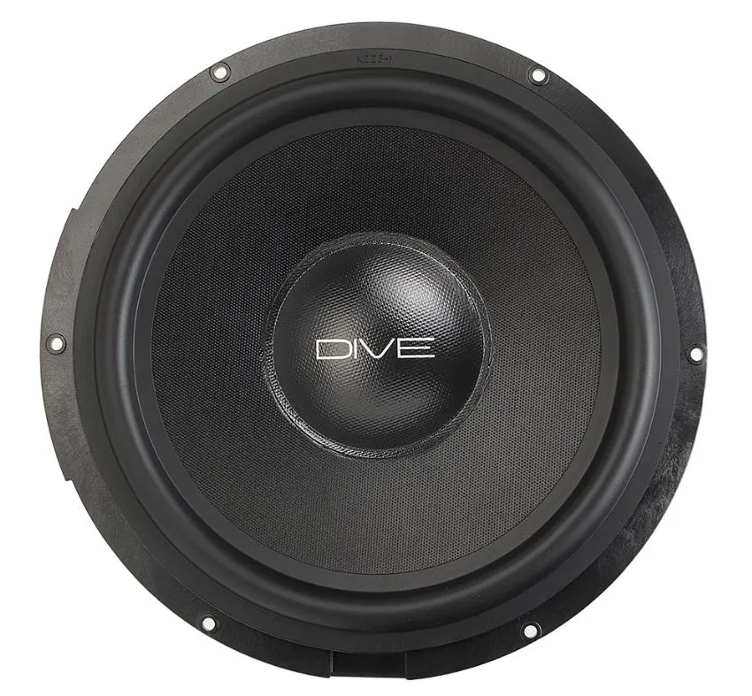 Dynamic State DAU-W250