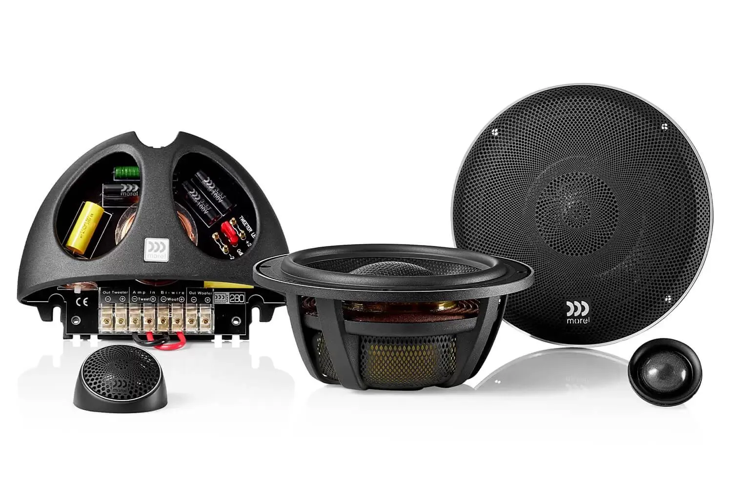 Morel Elate Carbon 62