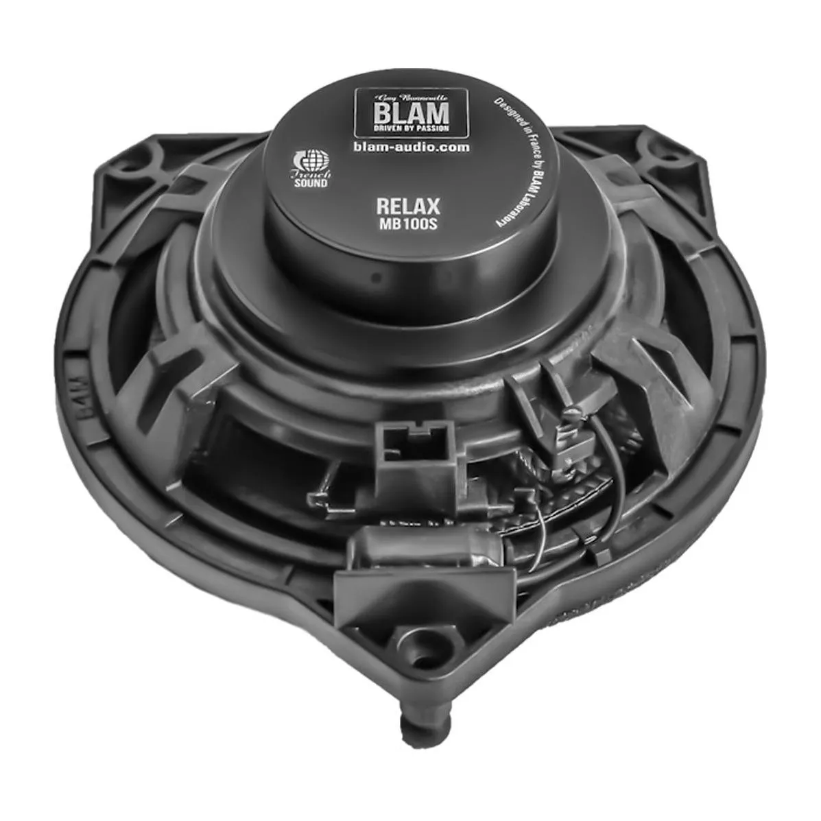 blam-mb-100-s_id2803_2[1]