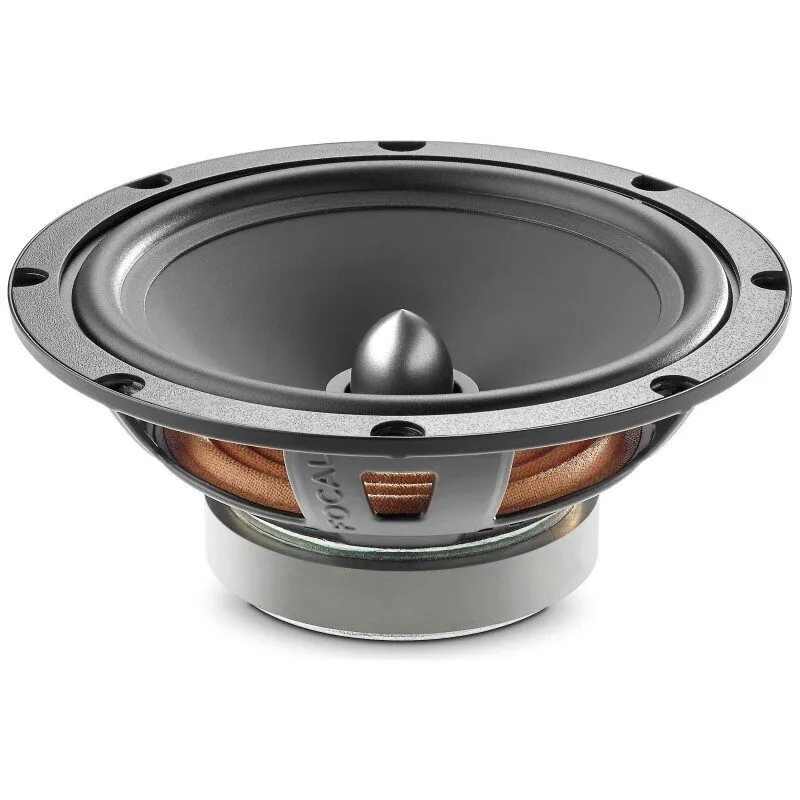 focal-auditor-r-165s2[1]