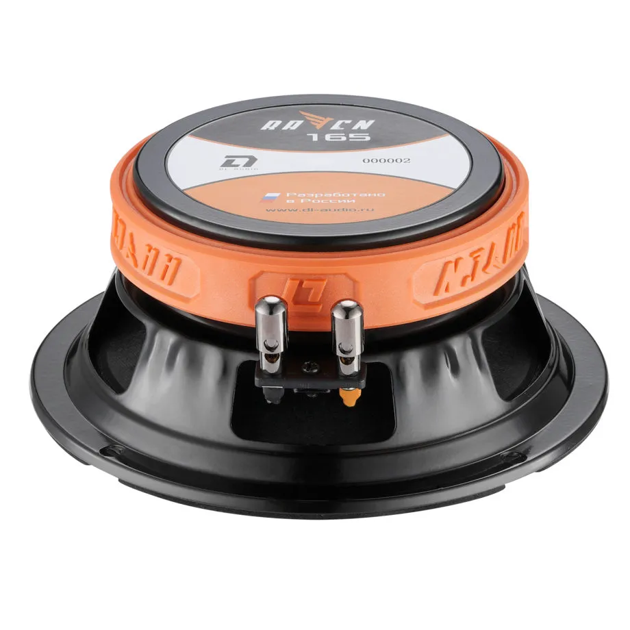 raven-165_3-920x920[1]