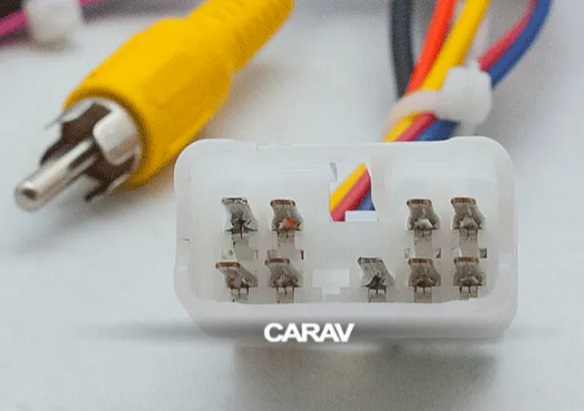 изображение_2023-12-23_201215837