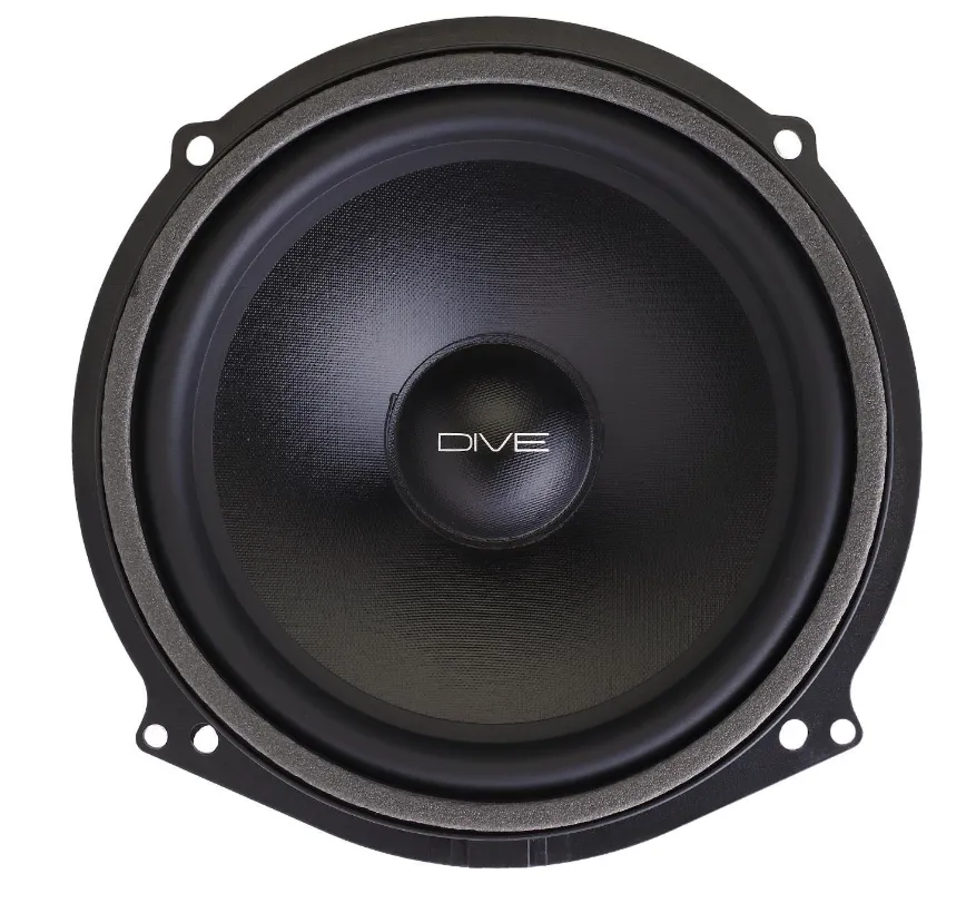 Dynamic State DAU-W202