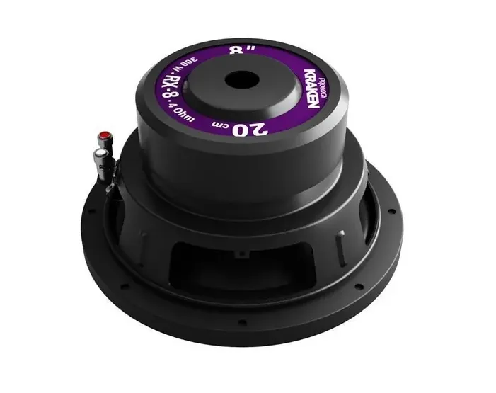 изображение_2023-12-21_194551656