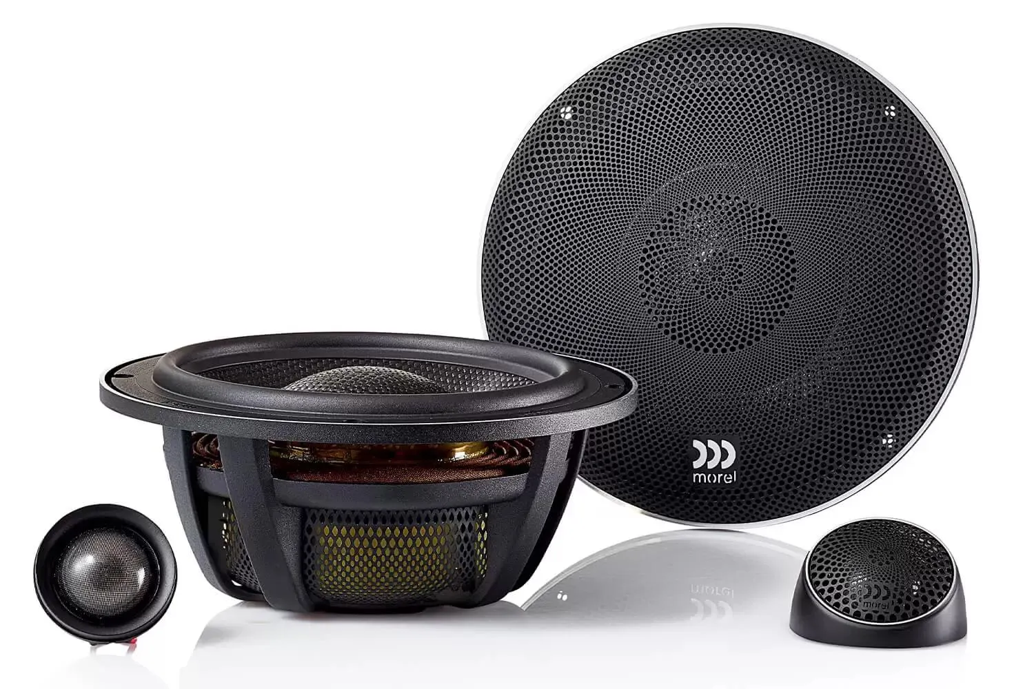 Morel Elate Carbon 62A