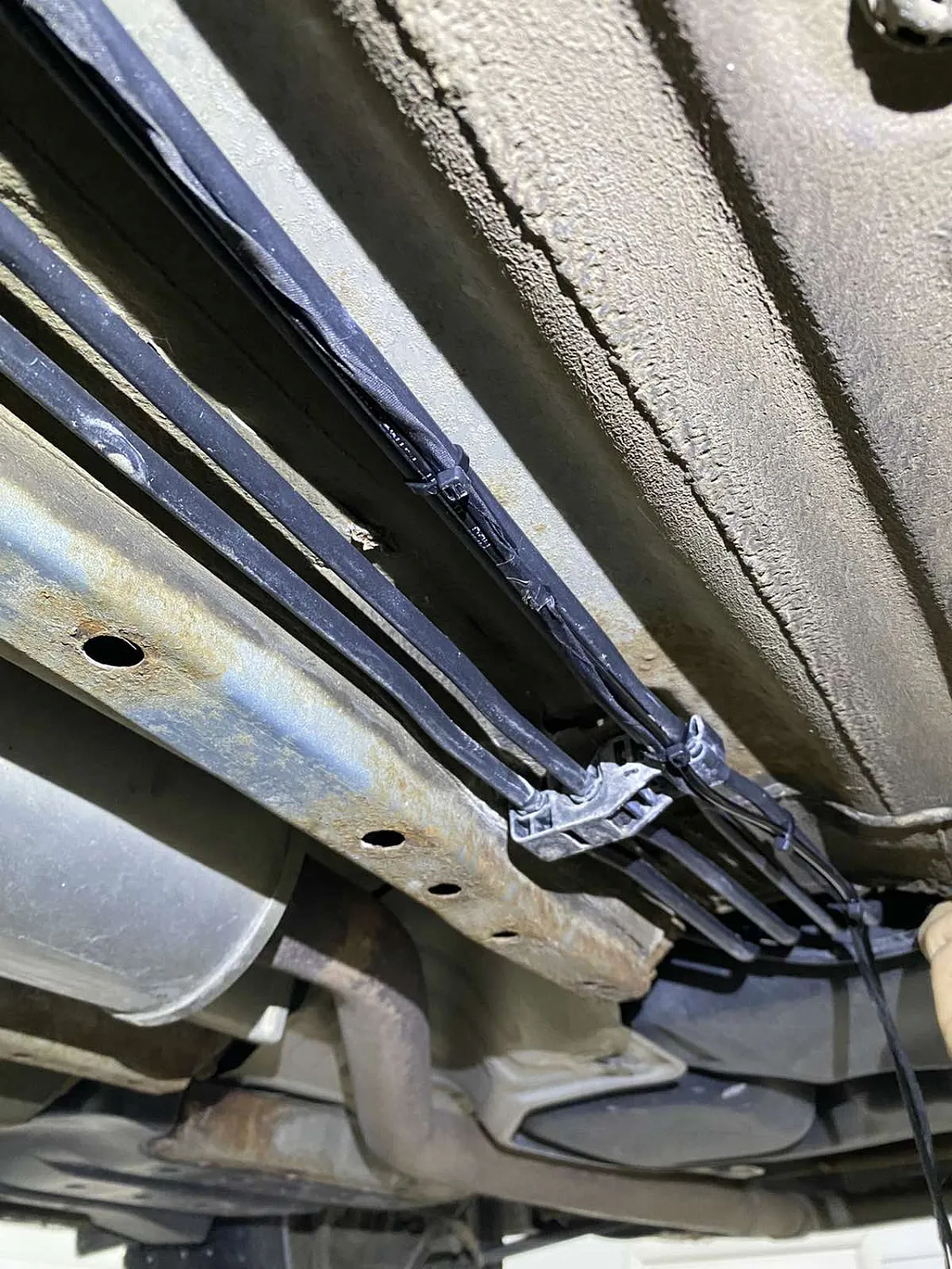 Honda Accord Honda Accord