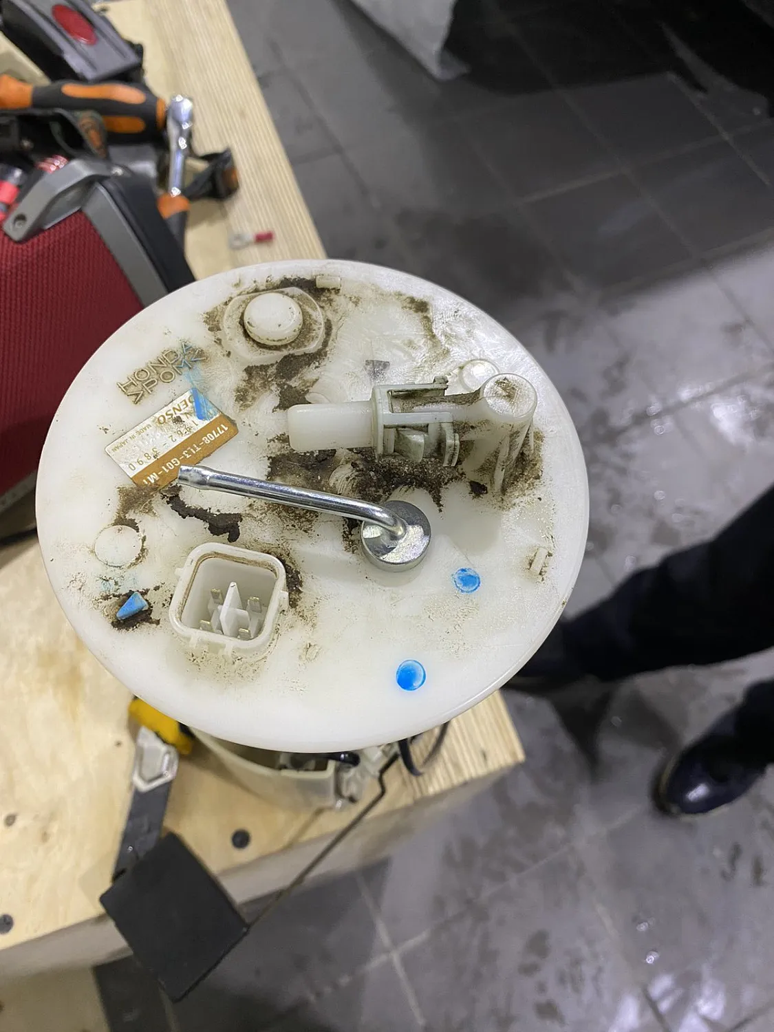 Honda Accord Honda Accord