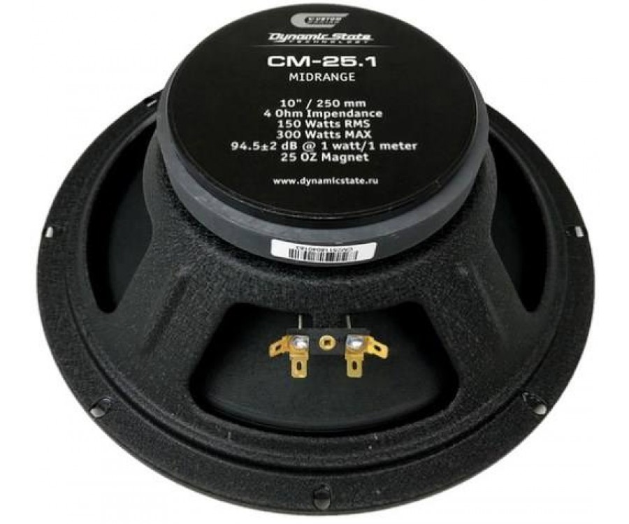 ds%20cm-25.1(1)-900x750[1]