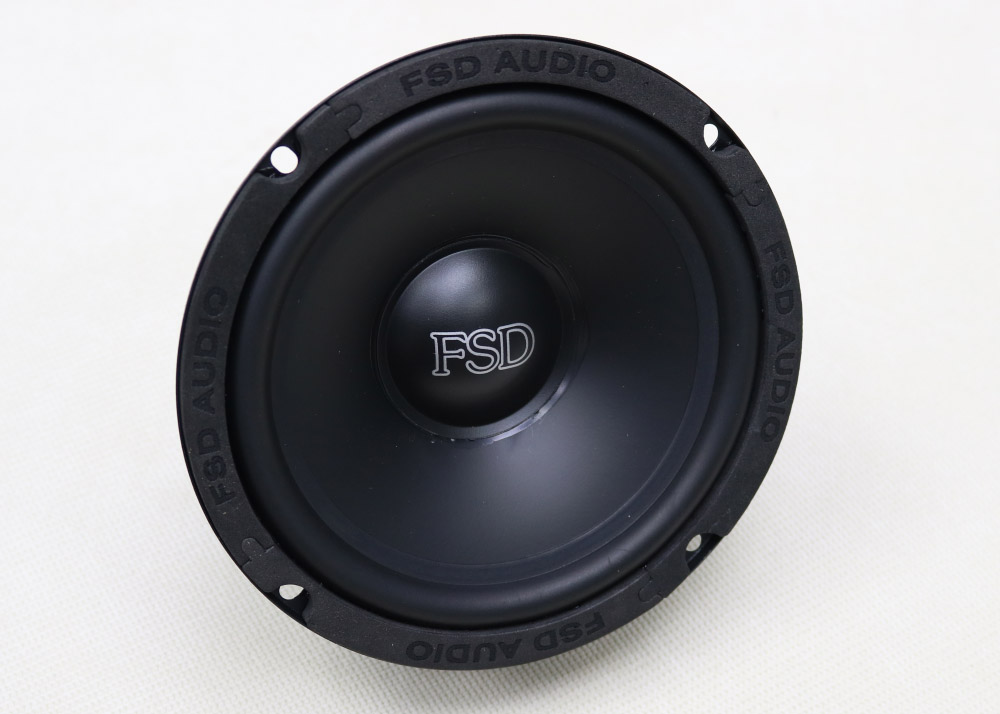 FSD audio MASTER WF6