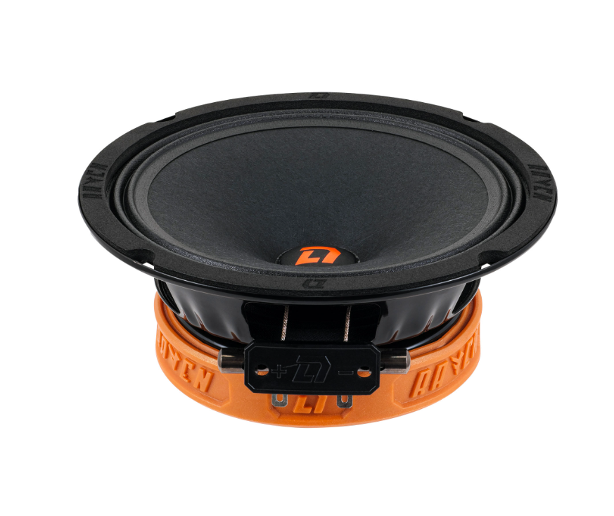 DL Audio Raven 165 V.2